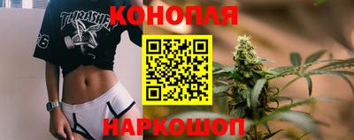 амф Анапа