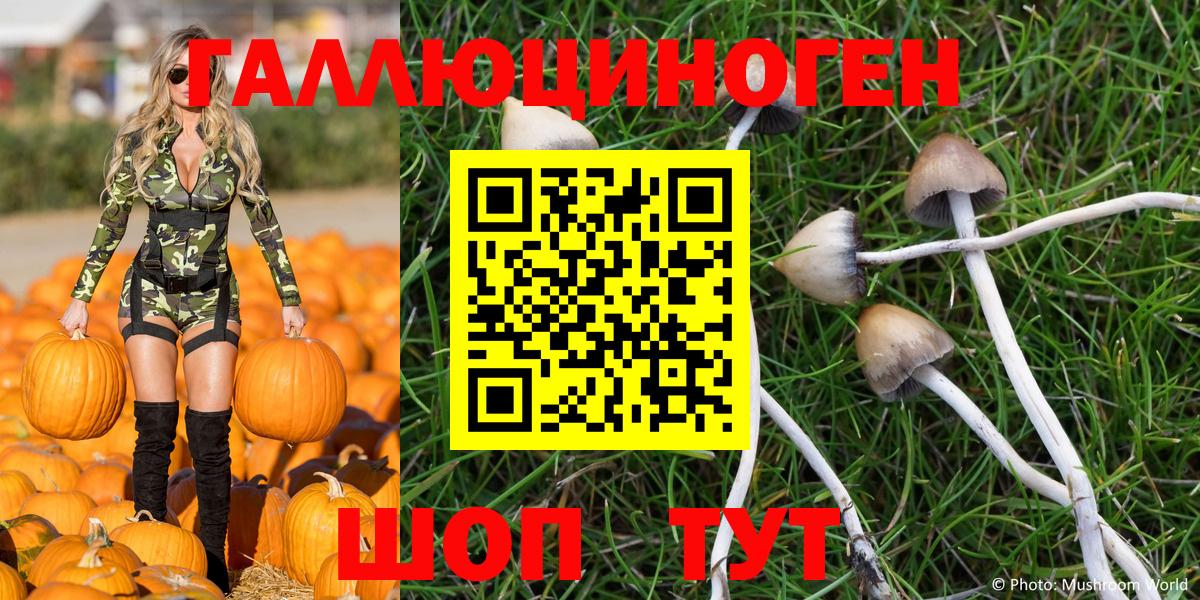 Галлюциногенные грибы Psilocybine cubensis  Галлюциногенные грибы MAGIC MUSHROOMS  Копейск  даркнет сайт  Вход с VPN 